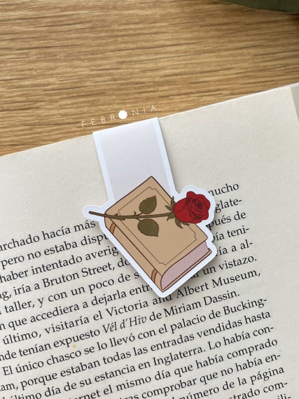 Libro y rosa Sant Jordi