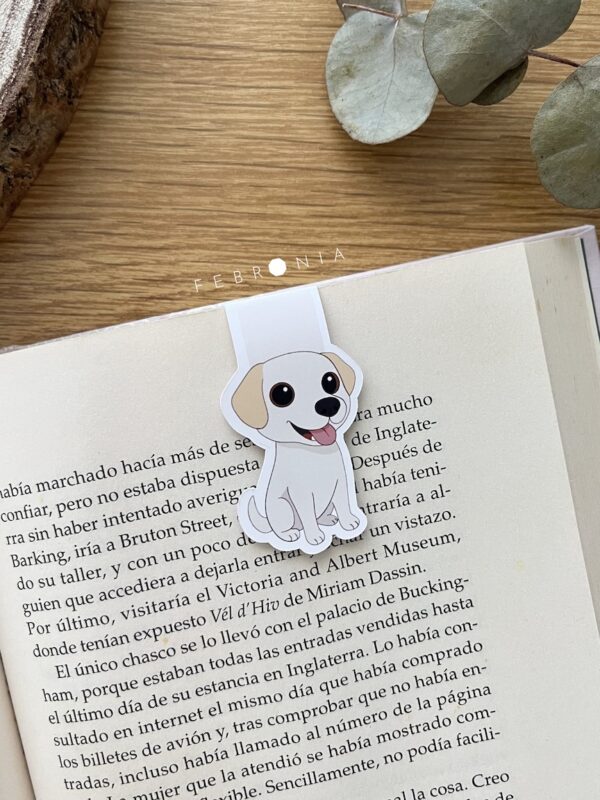 Perro